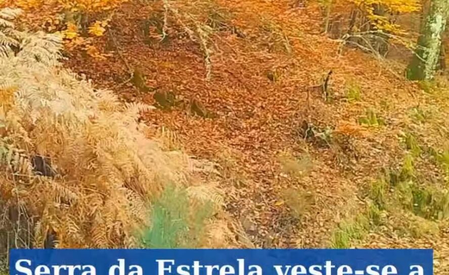Serra da Estrela pinta-se com cores de Outono\n\nDepois da passagem da Depress\u