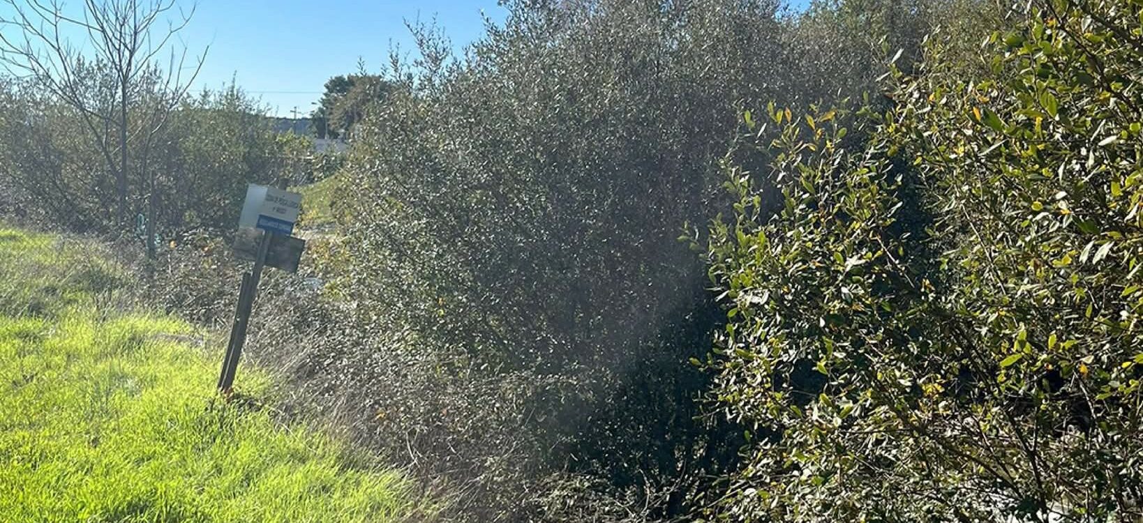 Unhais da Serra realiza trabalhos de limpeza na freguesia