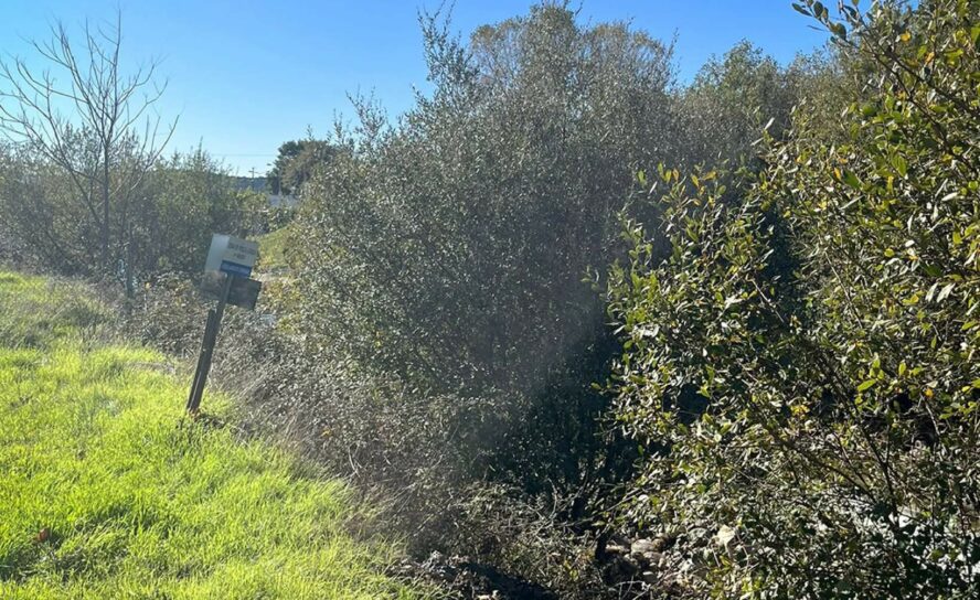 Unhais da Serra realiza trabalhos de limpeza na freguesia