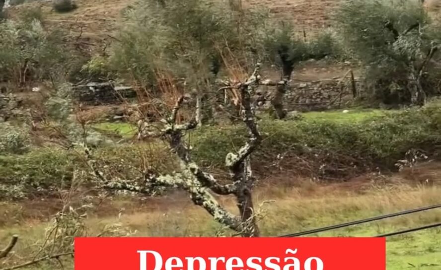 Ventos fortes causam estragos em Nisa