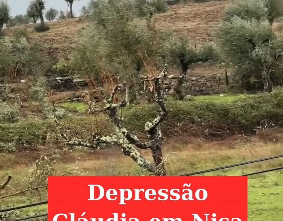 Ventos fortes causam estragos em Nisa