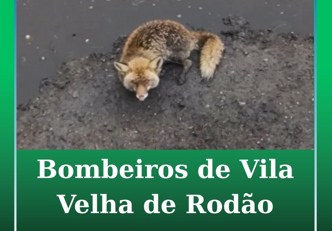 Vila Velha de Ródão