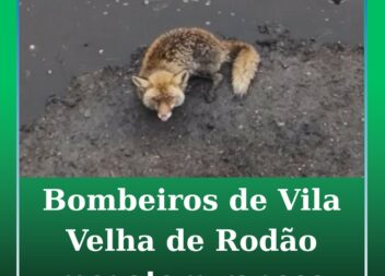 Vila Velha de Ródão