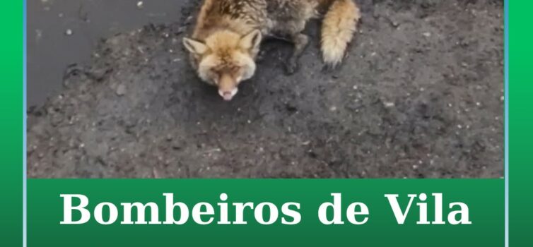 Vila Velha de Ródão