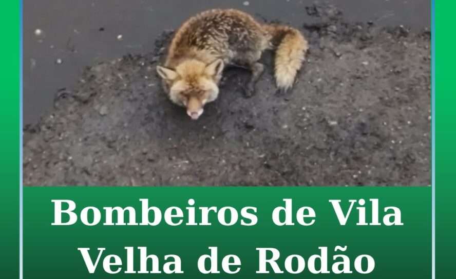 Vila Velha de Ródão