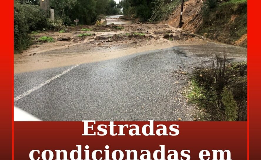 Vila de Rei