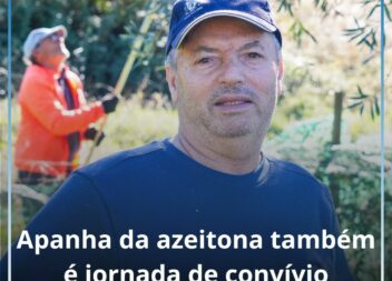 𝗔𝗽𝗮𝗻𝗵𝗮 𝗱𝗮 𝗮𝘇𝗲𝗶𝘁𝗼𝗻𝗮 𝘁𝗮𝗺𝗯𝗲́𝗺 𝗲́ 𝗷𝗼𝗿𝗻𝗮𝗱𝗮 𝗱𝗲 𝗰𝗼𝗻𝘃𝗶́𝘃𝗶𝗼