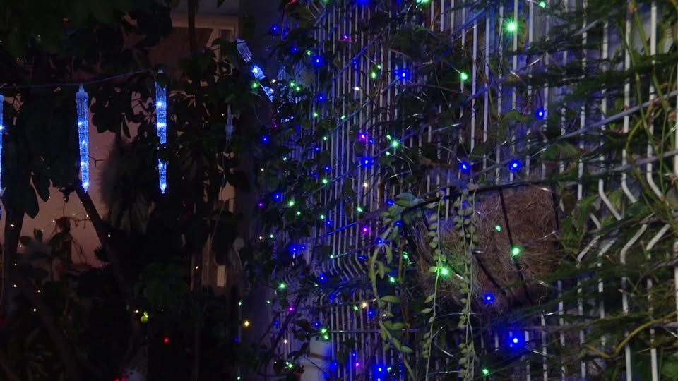 EM DIRETO: BEIRA BAIXA TV