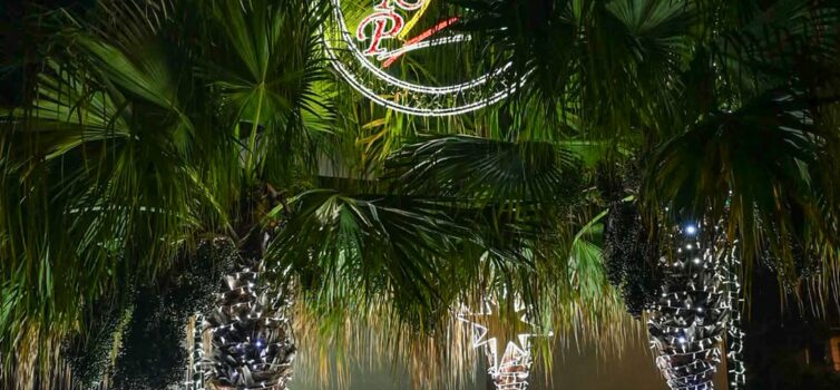 A Associação Juvenil Ribeiro das Perdizes (AJRP) deseja a todos os amigos e fami