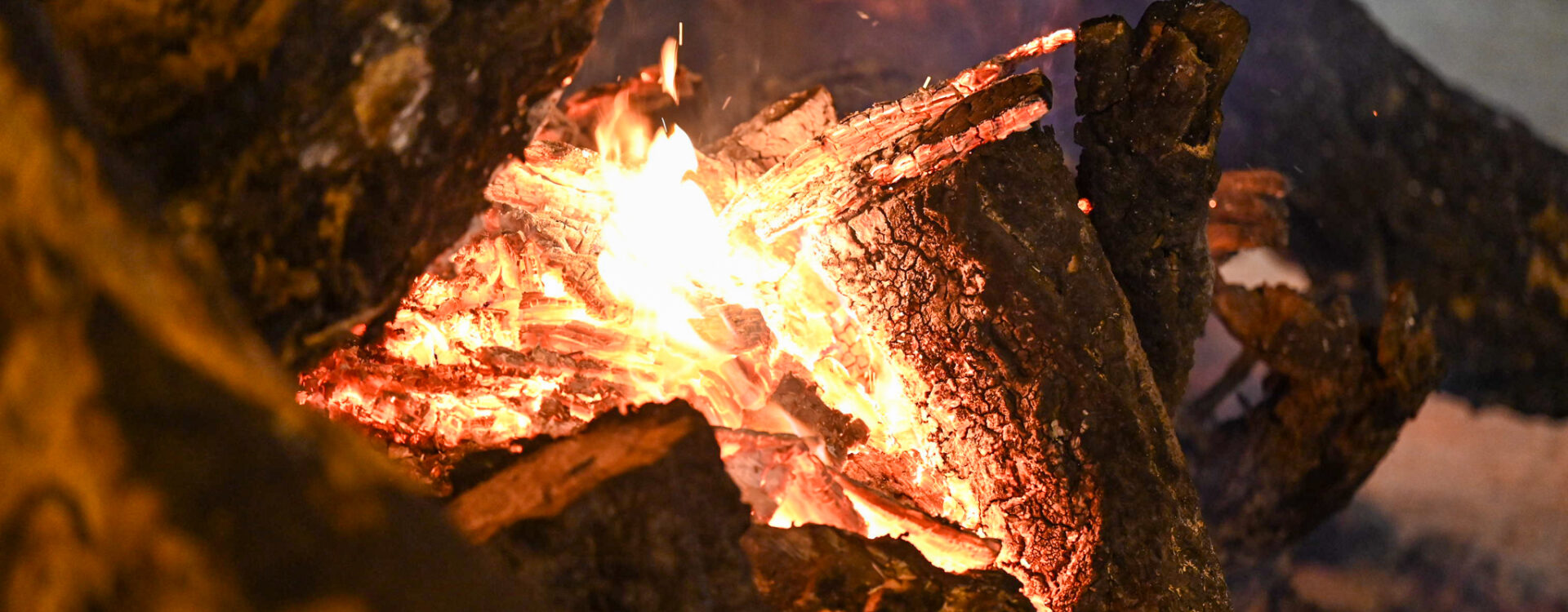 Aceso madeiro de Natal na Sé de Castelo Branco