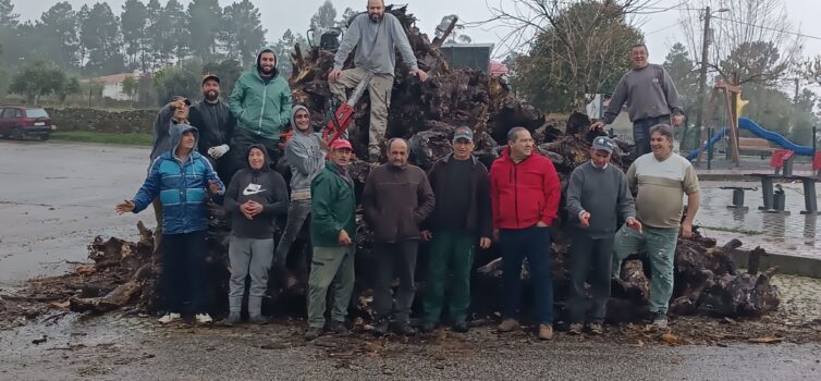 Associação Amigos de Benquerenças já tem madeiro