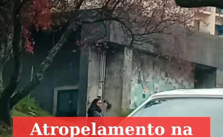 Atropelamento na Covilhã