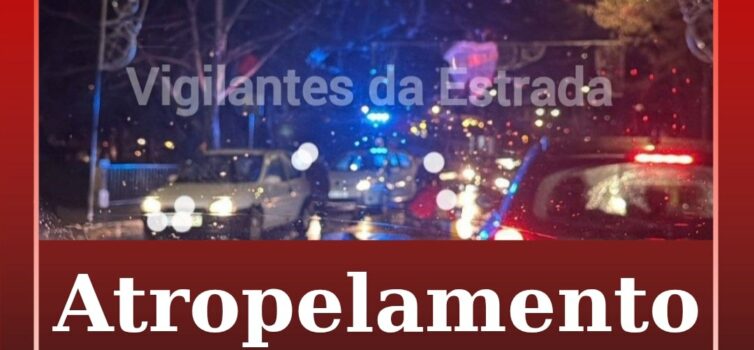 Atropelamento na Sertã