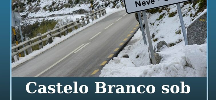 Castelo Branco e Guarda sob aviso amarelo devido à queda de neve