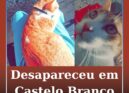 Desapareceu em Castelo Branco