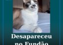 Desapareceu no Fundão