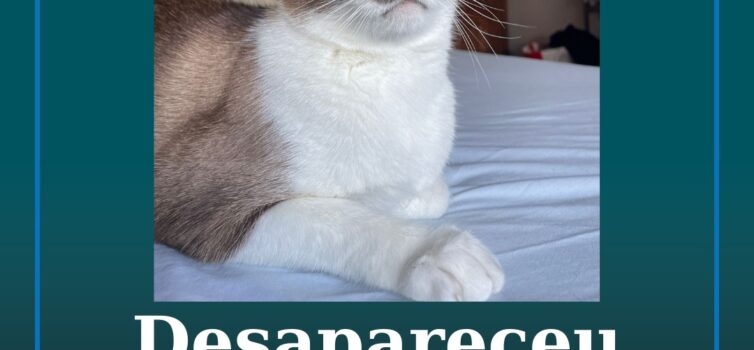 Desapareceu no Fundão