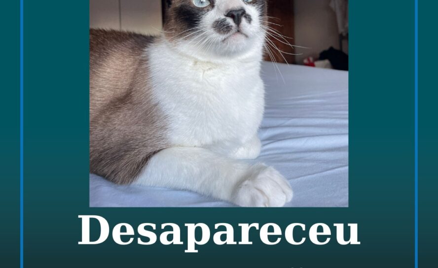 Desapareceu no Fundão