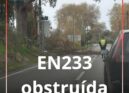 EN 233 obstruída por ramos de árvores perto de Pedrógão de São Pedro