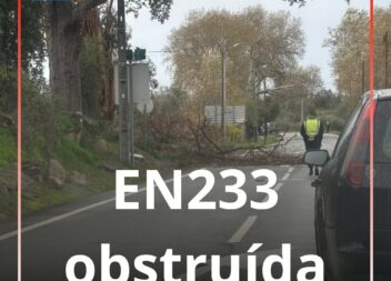 EN 233 obstruída por ramos de árvores perto de Pedrógão de São Pedro