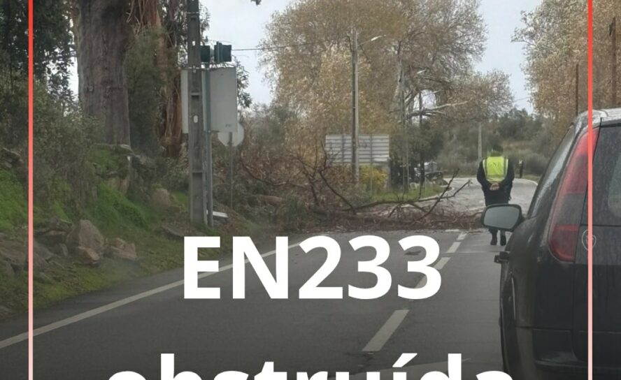 EN 233 obstruída por ramos de árvores perto de Pedrógão de São Pedro