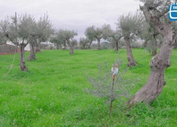 ESTA TERRA | ESTA GENTE