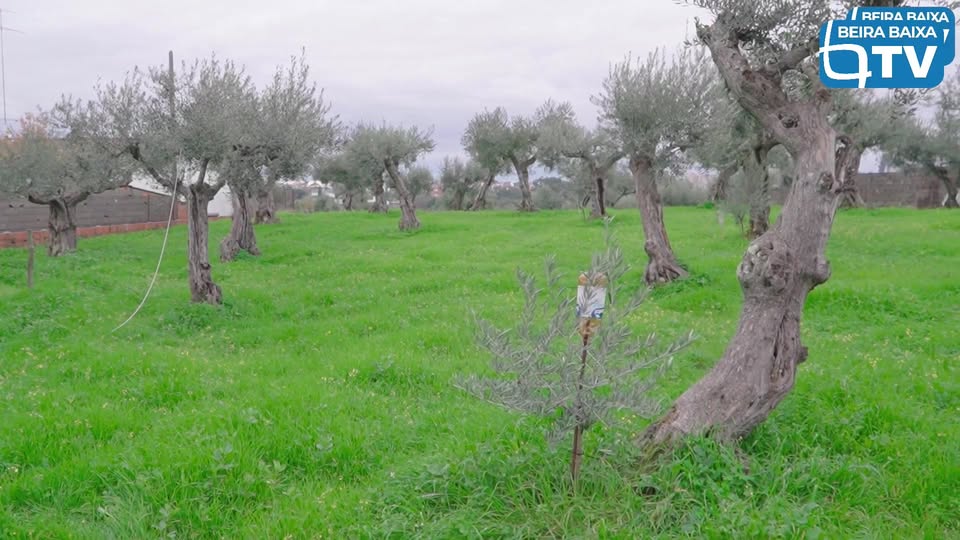 ESTA TERRA | ESTA GENTE