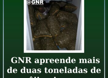GNR apreende quase 2,4 toneladas de amêijoa-japonesa