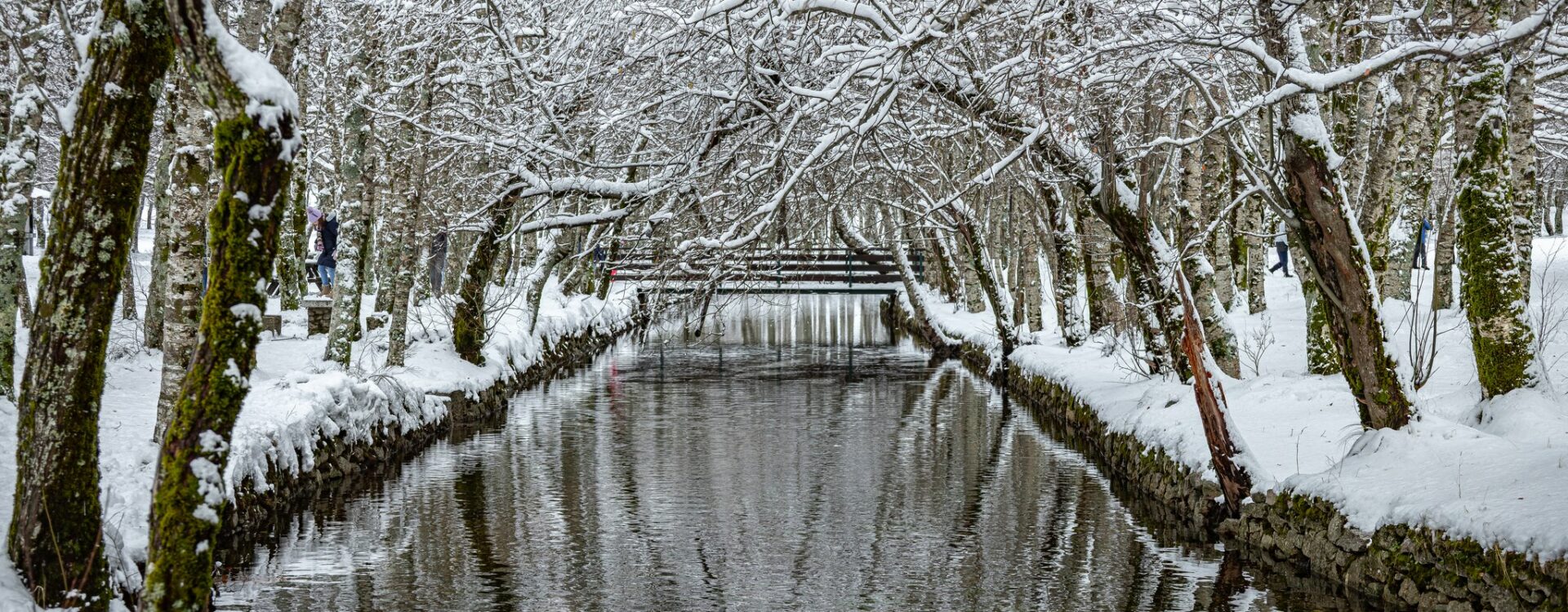 Imagens de inverno na Serra da Estrela