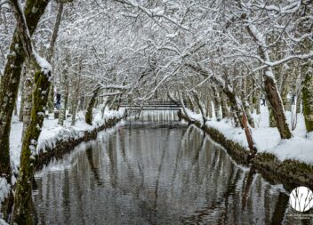Imagens de inverno na Serra da Estrela