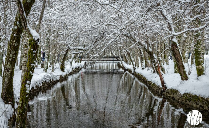 Imagens de inverno na Serra da Estrela