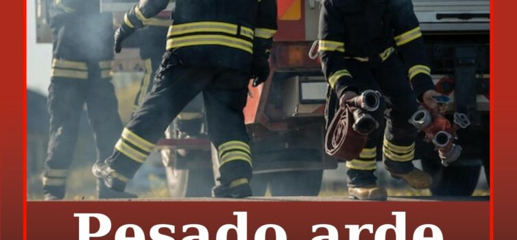 Incêndio rodoviário na A23