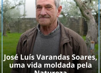 José Luís Varandas Soares