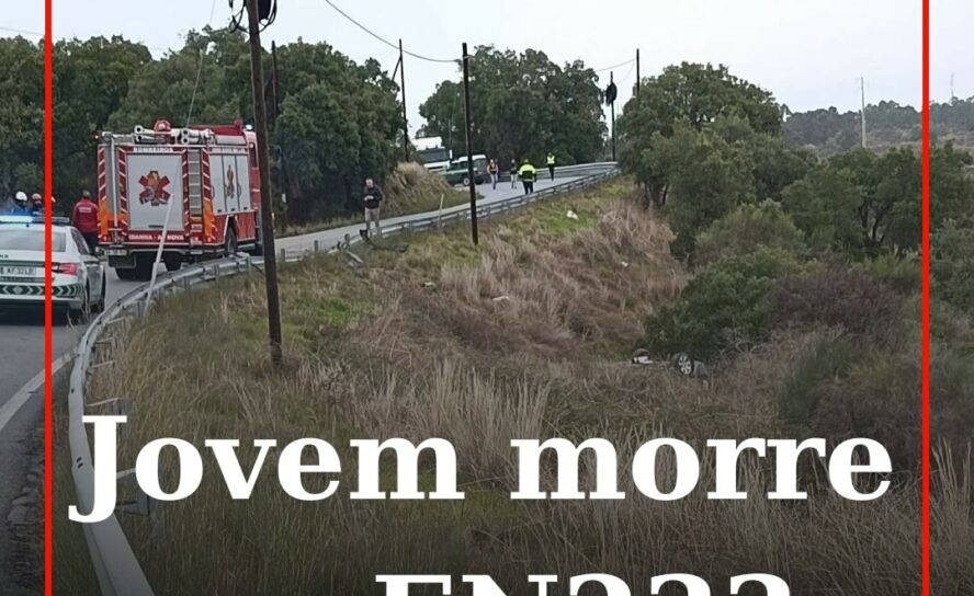 Jovem de 27 anos morre em acidente na EN233