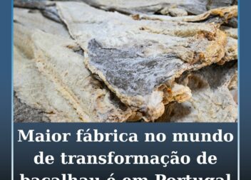 Maior fábrica de transformação de bacalhau do mundo fica em Portugal