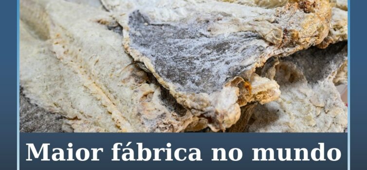 Maior fábrica de transformação de bacalhau do mundo fica em Portugal