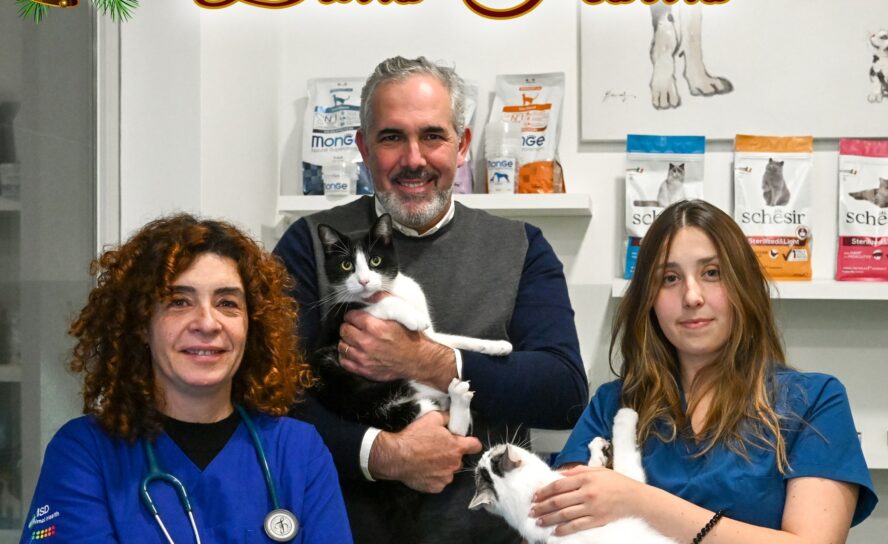 Myvetcare Covilhã - Clínica Veterinária