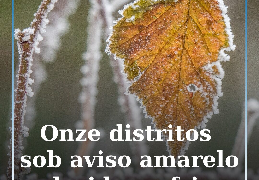 Onze distritos sob aviso amarelo devido ao frio