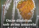 Onze distritos sob aviso amarelo devido ao frio