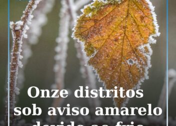 Onze distritos sob aviso amarelo devido ao frio