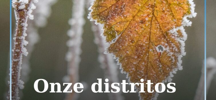 Onze distritos sob aviso amarelo devido ao frio