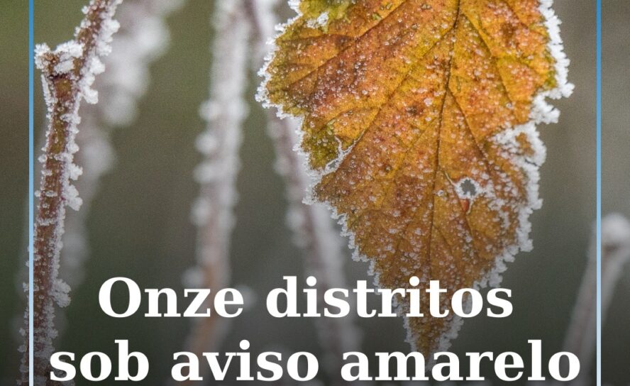 Onze distritos sob aviso amarelo devido ao frio