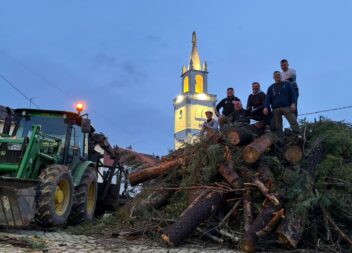 População do Orvalho unida no corte e transporte de árvores para o tradicional M
