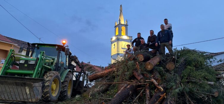 População do Orvalho unida no corte e transporte de árvores para o tradicional M