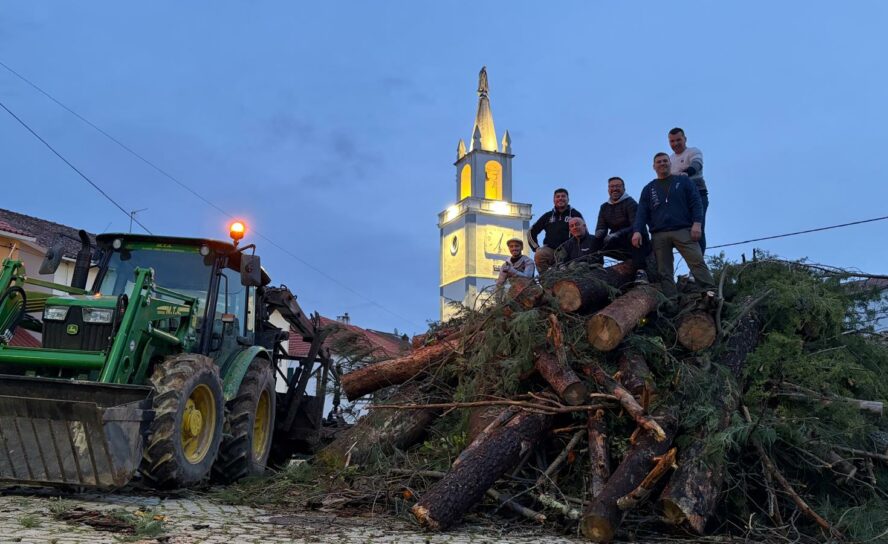 População do Orvalho unida no corte e transporte de árvores para o tradicional M