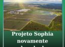 Projeto de megacentral fotovoltaica em Castelo Branco volta a ser chumbado