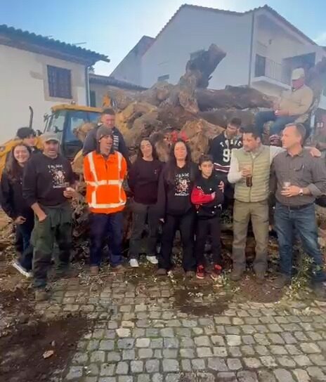 São Miguel de Acha já ergueu o madeiro