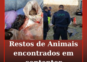 Serviços Municipalizados de Castelo Branco denunciam deposição ilegal de restos