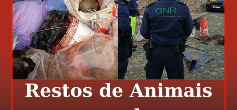 Serviços Municipalizados de Castelo Branco denunciam deposição ilegal de restos