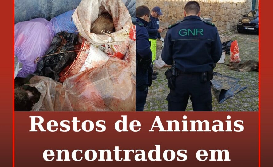 Serviços Municipalizados de Castelo Branco denunciam deposição ilegal de restos